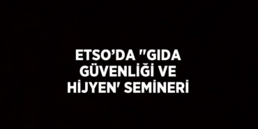 27834231192307224233tasarimli