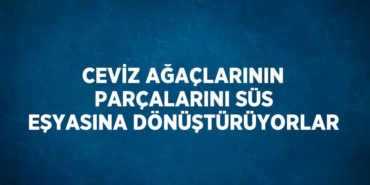 27836312492122323905tasarimli
