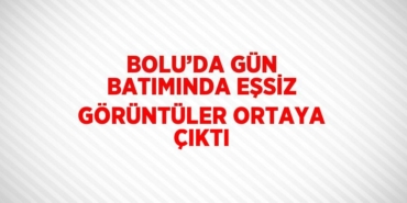 27837238042948723829tasarimli