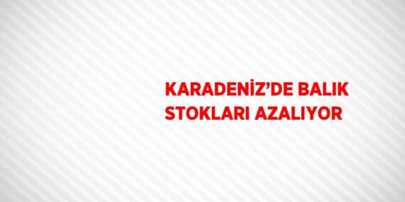 KARADENİZ’DE BALIK STOKLARI AZALIYOR