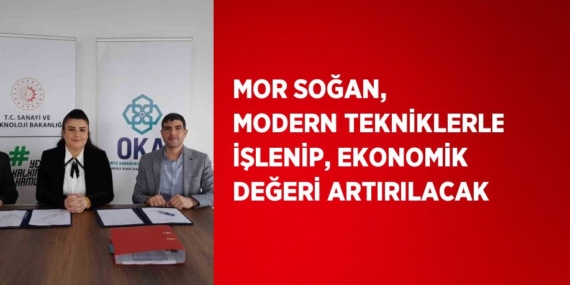 MOR SOĞAN, MODERN TEKNİKLERLE İŞLENİP, EKONOMİK DEĞERİ ARTIRILACAK