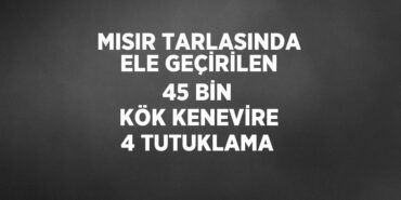27842281192518228371tasarimli