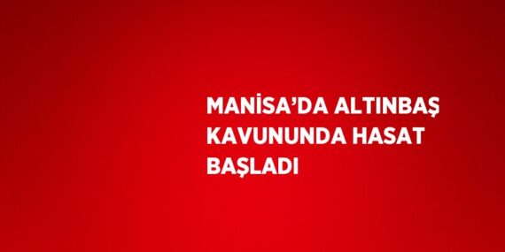 MANİSA’DA ALTINBAŞ KAVUNUNDA HASAT BAŞLADI