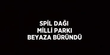 27852260962280922783tasarimli