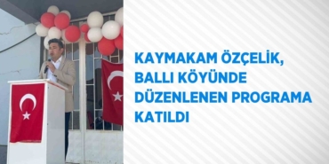 27856257602061325403