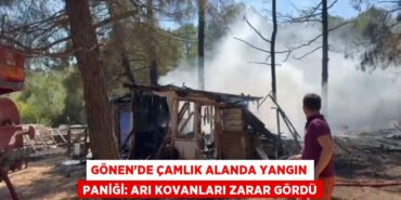 27856286442208130329tasarimli