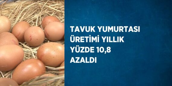 TAVUK YUMURTASI ÜRETİMİ YILLIK YÜZDE 10,8 AZALDI