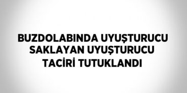 27868218143151222991tasarimli