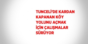 27876311802004123977