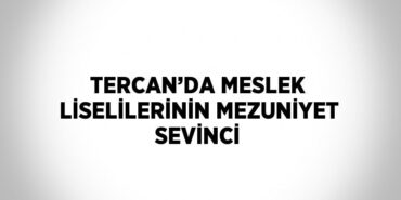 27881296542354824307tasarimli