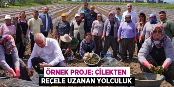ÖRNEK PROJE: ÇİLEKTEN REÇELE UZANAN YOLCULUK