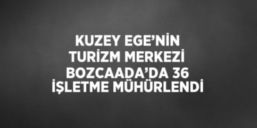 27897248812517023728tasarimli