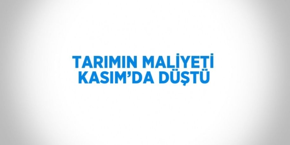 TARIMIN MALİYETİ KASIM’DA DÜŞTÜ