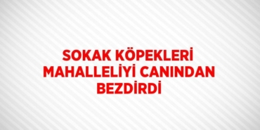 27904215823085021205tasarimli