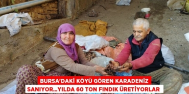 27905223672557424930tasarimli