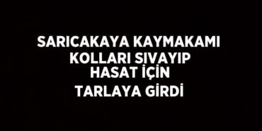 27906228742133131405tasarimli