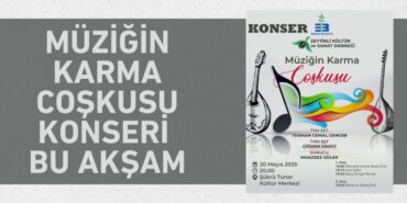 27906288213066530810