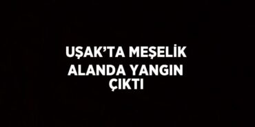 27909295212841428504tasarimli