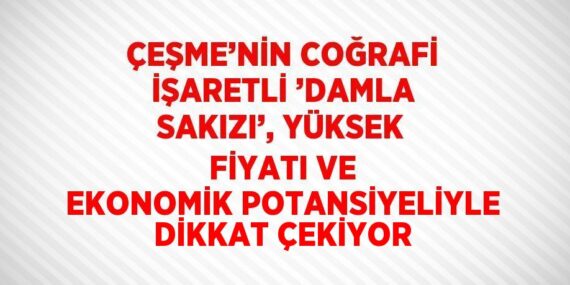 ÇEŞME’NİN COĞRAFİ İŞARETLİ ’DAMLA SAKIZI’, YÜKSEK FİYATI VE EKONOMİK POTANSİYELİYLE DİKKAT ÇEKİYOR