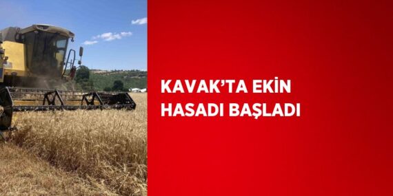 KAVAK’TA EKİN HASADI BAŞLADI