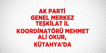 27936308232617126351tasarimli