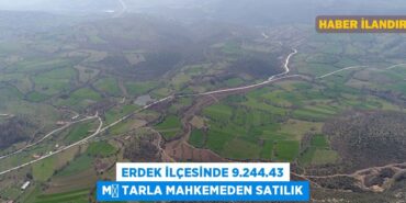 27940242432483425413tasarimli