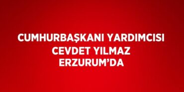 27940249472748624498tasarimli