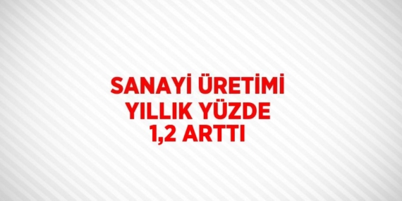 SANAYİ ÜRETİMİ YILLIK YÜZDE 1,2 ARTTI