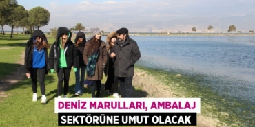 27942229252787221025tasarimli