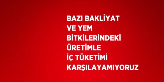 BAZI BAKLİYAT VE YEM BİTKİLERİNDEKİ ÜRETİMLE İÇ TÜKETİMİ KARŞILAYAMIYORUZ