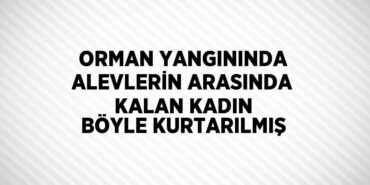 27946304882371929988tasarimli
