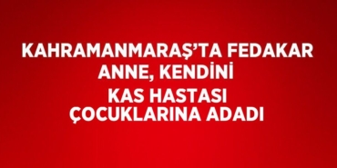 27948262762533227761tasarimli