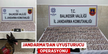 27950227873141830144tasarimli