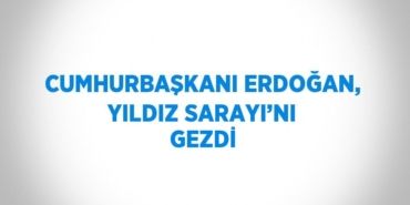 27951246392862324843tasarimli