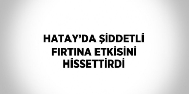 27952222092768029031tasarimli