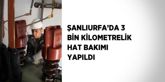 ŞANLIURFA’DA 3 BİN KİLOMETRELİK HAT BAKIMI YAPILDI