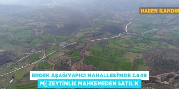 27953260522785223814tasarimli