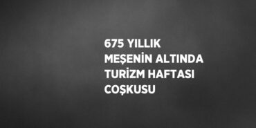 27960241483036627305