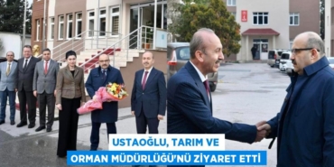 27961215272136321304tasarimli