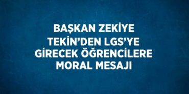 27964223902160226927tasarimli