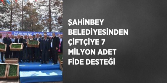 ŞAHİNBEY BELEDİYESİNDEN ÇİFTÇİYE 7 MİLYON ADET FİDE DESTEĞİ
