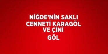 27973293732258528334tasarimli