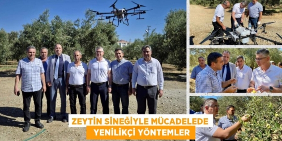 ZEYTİN SİNEĞİYLE MÜCADELEDE   YENİLİKÇİ YÖNTEMLER