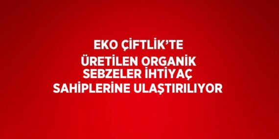 EKO ÇİFTLİK’TE ÜRETİLEN ORGANİK SEBZELER İHTİYAÇ SAHİPLERİNE ULAŞTIRILIYOR