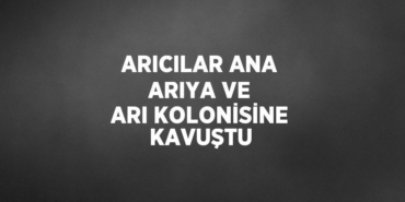 27985237412177724155tasarimli