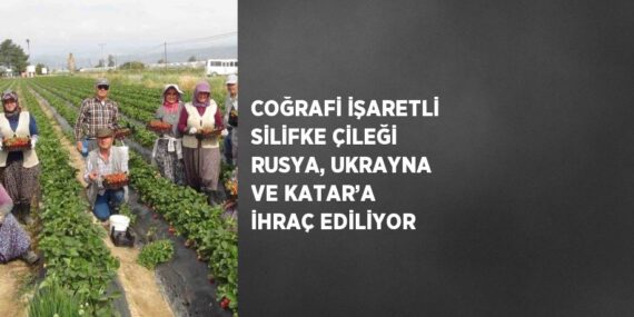 COĞRAFİ İŞARETLİ SİLİFKE ÇİLEĞİ RUSYA, UKRAYNA VE KATAR’A İHRAÇ EDİLİYOR