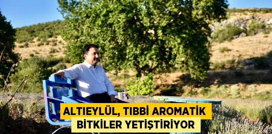 27994314552733622888tasarimli