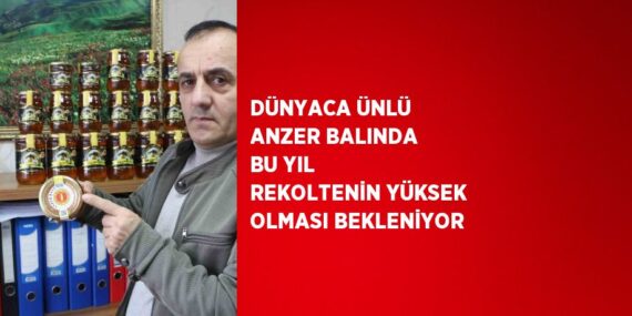 DÜNYACA ÜNLÜ ANZER BALINDA BU YIL REKOLTENİN YÜKSEK OLMASI BEKLENİYOR