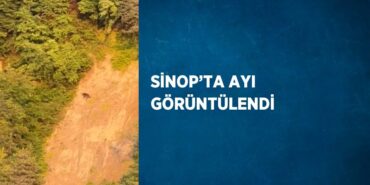 27998220982577229841