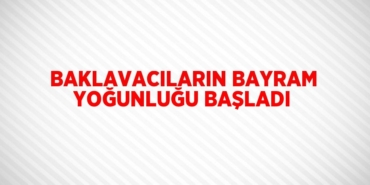 28000236582080528973tasarimli